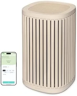 Air Purifier Max for Home — Air Purifier, Windmill