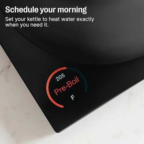 Electric Tea Kettle with Temperature Control and Timer — Electric Kettle, Fellow