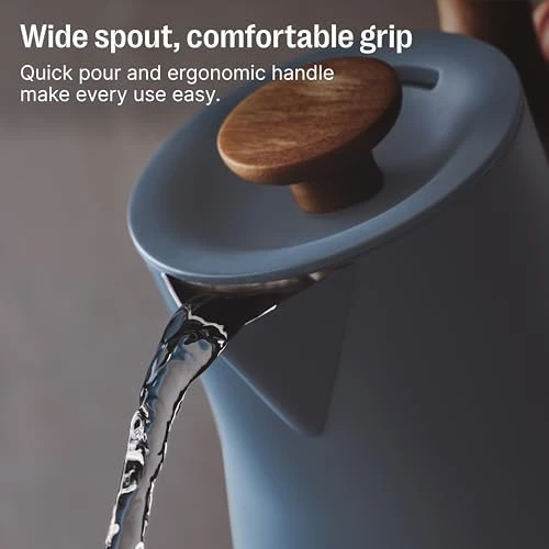 Electric Tea Kettle with Temperature Control and Timer — Electric Kettle, Fellow