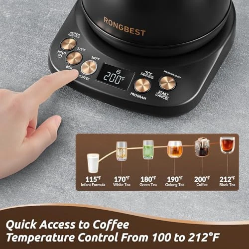 Electric Gooseneck Kettle — Electric Kettle, RONGBEST