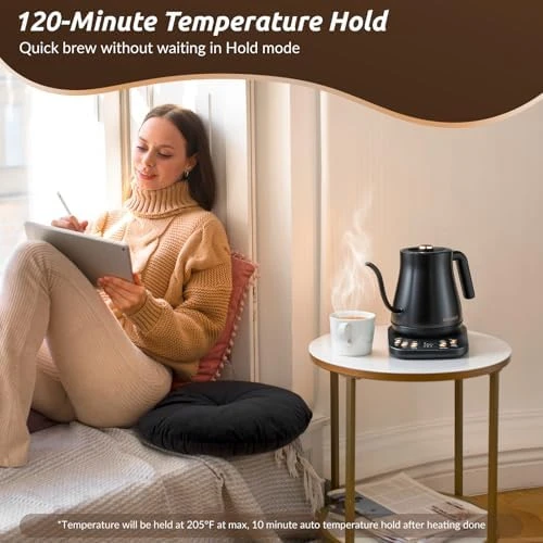 Electric Gooseneck Kettle — Electric Kettle, RONGBEST