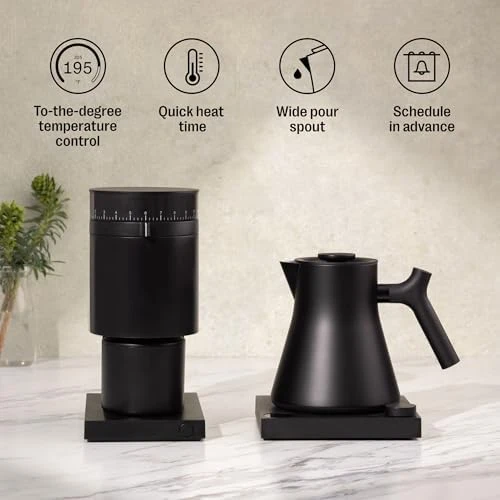 Electric Tea Kettle — Electric Kettle, Fellow