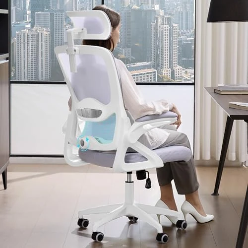 Ergonomic Office Chair — Smart Chairs, Nexthro