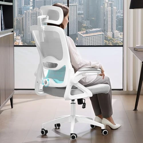 Ergonomic Office Chair — Smart Chairs, Nexthro