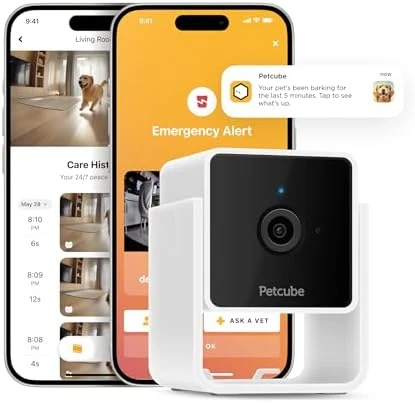 Indoor Wi-Fi Pet and Security Camera — Security Camera, Petcube