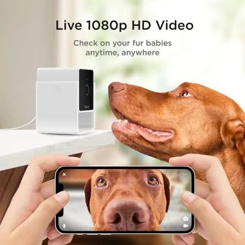 Indoor Wi-Fi Pet and Security Camera — Security Camera, Petcube