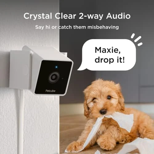 Indoor Wi-Fi Pet and Security Camera — Security Camera, Petcube
