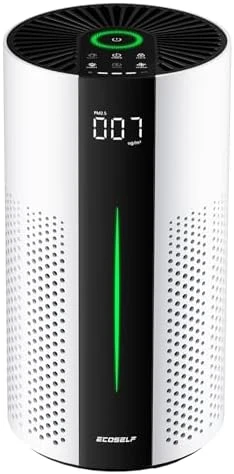 Air Purifier for Large Rooms — Air Purifier, ECOSELF