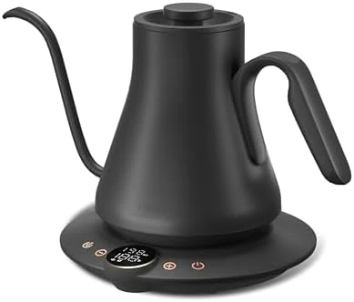 Gooseneck Electric Kettle with Temperature Control — Electric Kettle, INTASTING