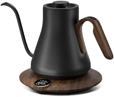 Gooseneck Electric Kettle with Temperature Control — Electric Kettle, INTASTING
