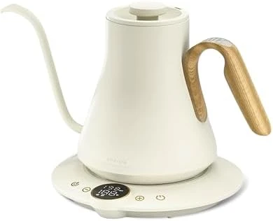 Gooseneck Electric Kettle with Temperature Control — Electric Kettle, INTASTING