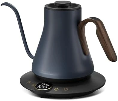 Gooseneck Electric Kettle with Temperature Control — Electric Kettle, INTASTING