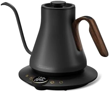 Gooseneck Electric Kettle with Temperature Control — Electric Kettle, INTASTING