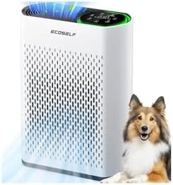 Large Room Air Purifier with True HEPA and Air Quality Display — Air Purifier, ECOSELF