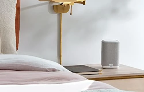 Wireless Smart Speaker — Smart Speaker, Denon
