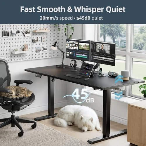 Adjustable Standing Desk with Cable Management and Accessories — Standing Desk, DeskShow