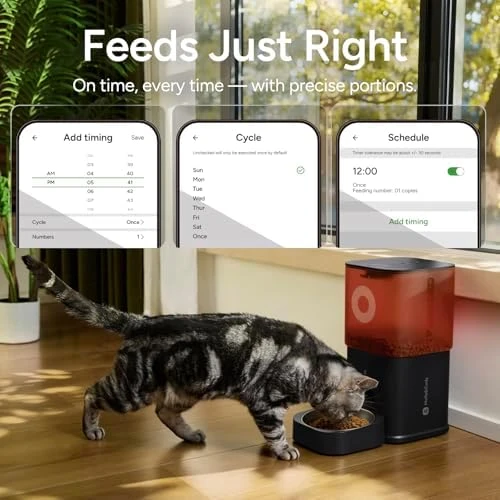 Automatic Pet Feeder with Camera — Automatic Pet Feeder, MOLLY&CODY