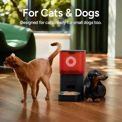 Automatic Pet Feeder with Camera — Automatic Pet Feeder, MOLLY&CODY