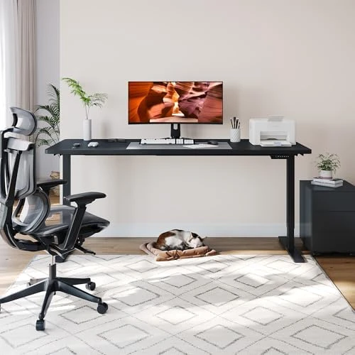 Dual Motor Standing Desk — Standing Desk, FitStand