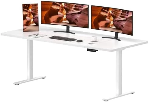 Dual Motor Standing Desk — Standing Desk, FitStand