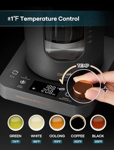 Electric Tea Kettle with Tea Infuser — Electric Kettle, INTASTING