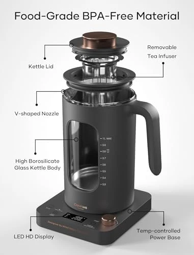 Electric Tea Kettle with Tea Infuser — Electric Kettle, INTASTING