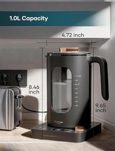 Electric Tea Kettle with Tea Infuser — Electric Kettle, INTASTING