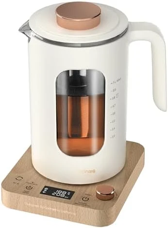 Electric Tea Kettle with Tea Infuser — Electric Kettle, INTASTING