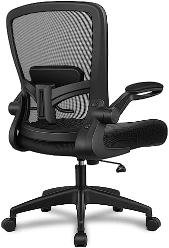 Ergonomic Mesh Office Chair with Adjustable Lumbar Support and Flip-up Armrests — Smart Chairs, FelixKing