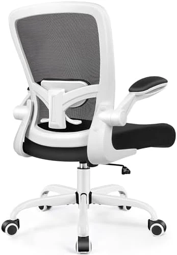Ergonomic Mesh Office Chair with Adjustable Lumbar Support and Flip-up Armrests — Smart Chairs, FelixKing