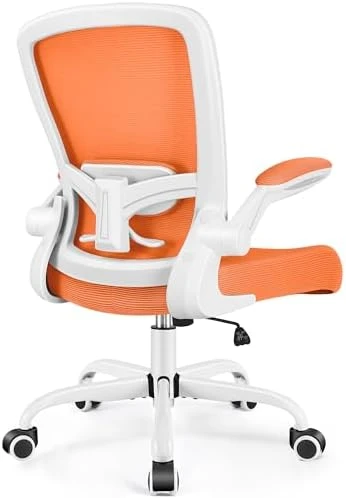Ergonomic Mesh Office Chair with Adjustable Lumbar Support and Flip-up Armrests — Smart Chairs, FelixKing