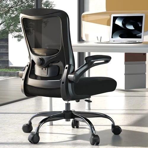 Ergonomic Office Chair - High Back Desk Chair with Adjustable Lumbar Support, Breathable Mesh Back, 330LBS Capacity,... — Smart Chairs, Zeonsit