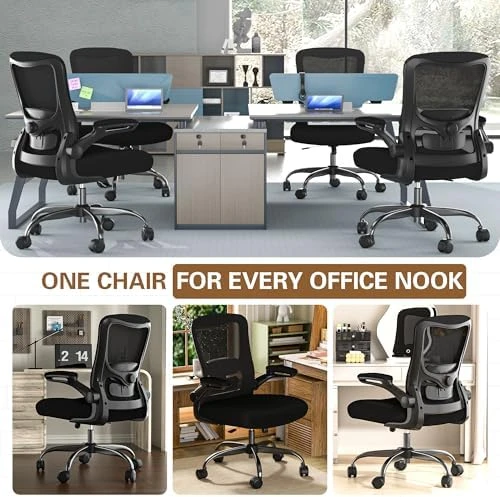 Ergonomic Office Chair - High Back Desk Chair with Adjustable Lumbar Support, Breathable Mesh Back, 330LBS Capacity,... — Smart Chairs, Zeonsit