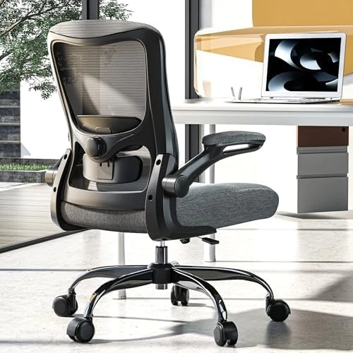 Ergonomic Office Chair - High Back Desk Chair with Adjustable Lumbar Support, Breathable Mesh Back, 330LBS Capacity,... — Smart Chairs, Zeonsit