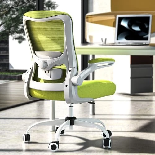 Ergonomic Office Chair - High Back Desk Chair with Adjustable Lumbar Support, Breathable Mesh Back, 330LBS Capacity,... — Smart Chairs, Zeonsit