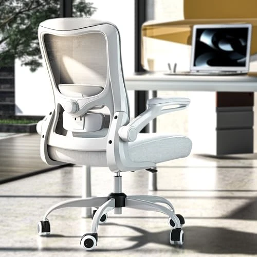 Ergonomic Office Chair - High Back Desk Chair with Adjustable Lumbar Support, Breathable Mesh Back, 330LBS Capacity,... — Smart Chairs, Zeonsit