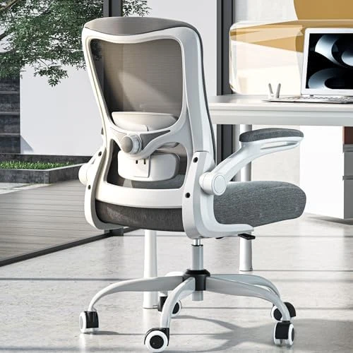 Ergonomic Office Chair - High Back Desk Chair with Adjustable Lumbar Support, Breathable Mesh Back, 330LBS Capacity,... — Smart Chairs, Zeonsit