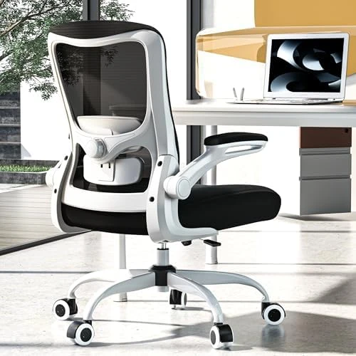 Ergonomic Office Chair - High Back Desk Chair with Adjustable Lumbar Support, Breathable Mesh Back, 330LBS Capacity,... — Smart Chairs, Zeonsit
