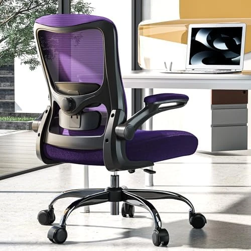 Ergonomic Office Chair - High Back Desk Chair with Adjustable Lumbar Support, Breathable Mesh Back, 330LBS Capacity,... — Smart Chairs, Zeonsit