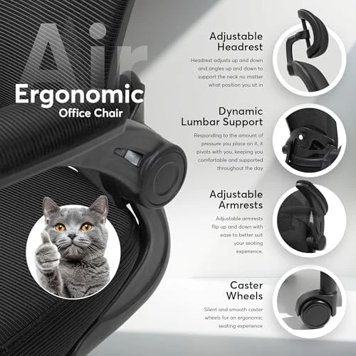 Ergonomic Office Chair — Smart Chairs, Oline