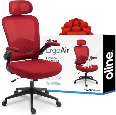 Ergonomic Office Chair — Smart Chairs, Oline