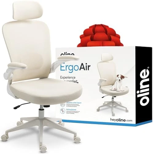 Ergonomic Office Chair — Smart Chairs, Oline