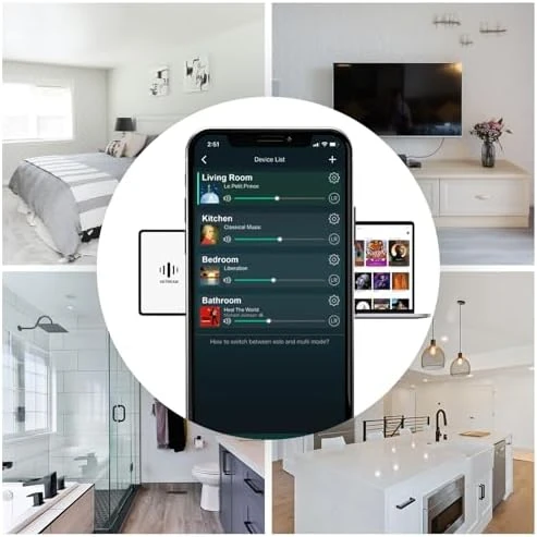 WiFi Bluetooth Audio Receiver Preamplifier — Smart Speaker, Arylic