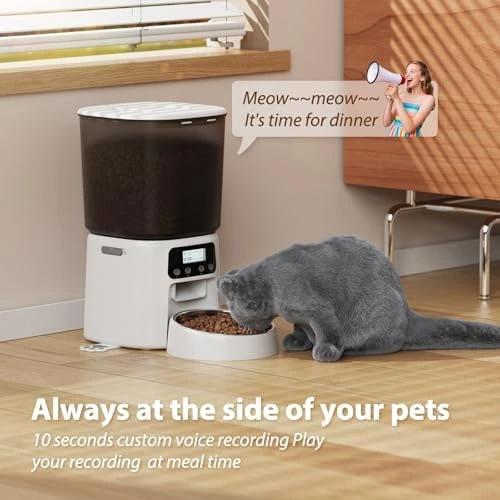 Automatic Cat Feeder with Stainless Steel Bowl — Automatic Pet Feeder, Petrice