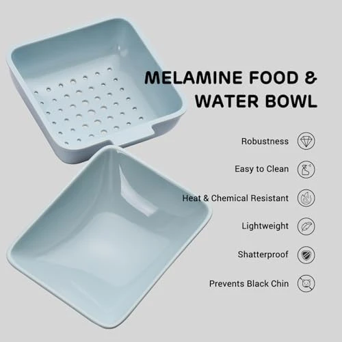 Automatic Feeder and Waterer 2-in-1 Set — Automatic Pet Feeder, iPettie