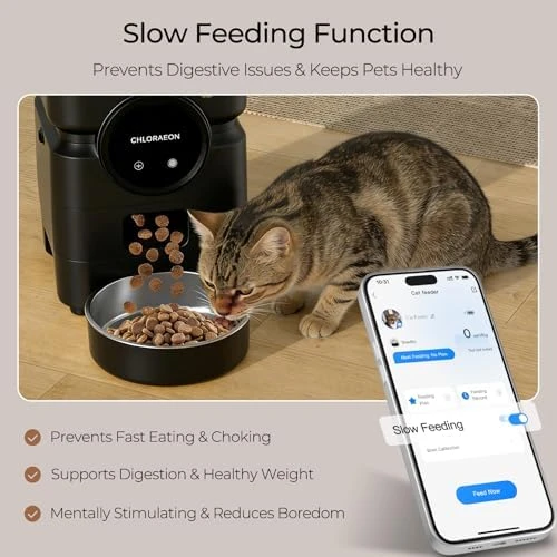 Automatic Cat Feeder — Automatic Pet Feeder, Chloraeon