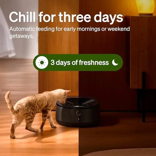 Automatic Wet Food Cat Feeder — Automatic Pet Feeder, PETLIBRO