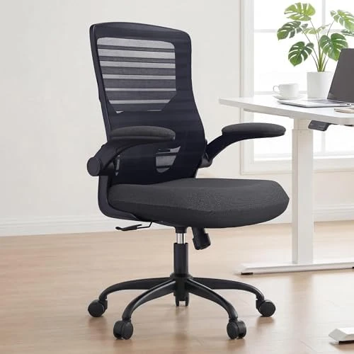 Desk Chair for Long Hours & Lower Back Pain Relief — Smart Chairs, QLTPLUS
