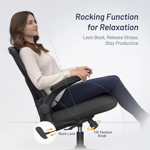 Desk Chair for Long Hours & Lower Back Pain Relief — Smart Chairs, QLTPLUS