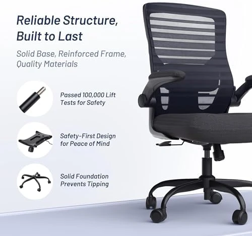 Desk Chair for Long Hours & Lower Back Pain Relief — Smart Chairs, QLTPLUS